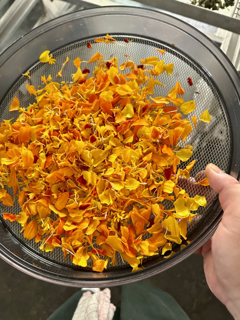 Zurück im Restaurant etz: Meine zweite Culinary Stage